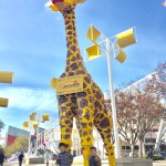 20170105_032011481_ios