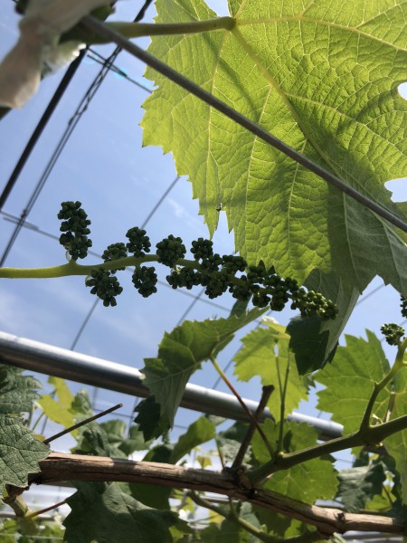 9EF918FF-5B3B-4167-8506-EAF0B93BDCF5