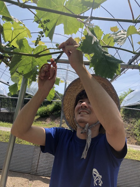 BDE0ED84-AA04-4D52-9DC1-5C9308A71FFA