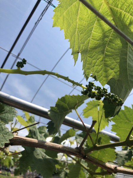 C959C991-017D-4C51-983F-36E934E3F86D