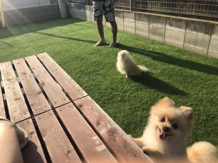 E8A9C5A5-66C5-4F8F-BDA3-5275CC7FD5CA