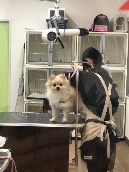 353709C9-4EA7-4823-90EE-22DDE3CFEDC3