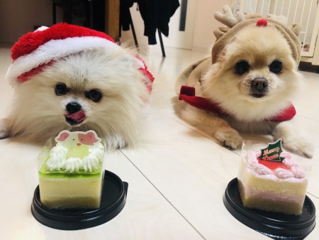 ECBBEAB3-97FD-4FD1-B948-36375AB0708C