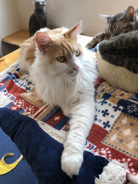 AA1AD8E8-44D9-44D8-A509-E6029EEC1507