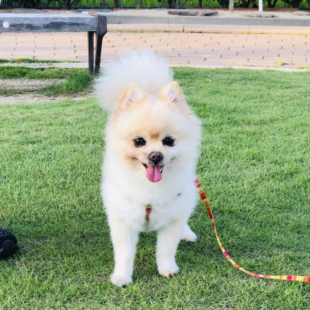 5D624AE4-1886-405E-9C4F-173328DD0C6B