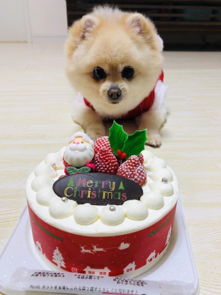 636B9E7D-FE26-40C2-A990-703363B83912