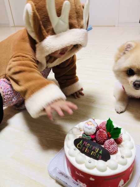 B0C82EE5-BF58-4A56-88C6-60AFD94AE577