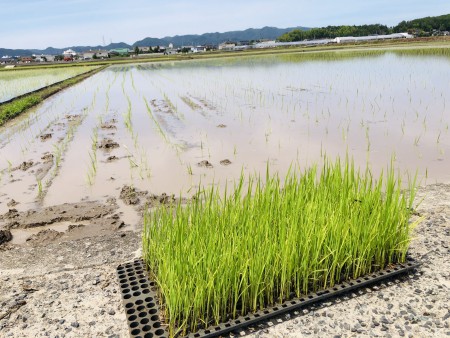 C60096DD-E3C9-4723-B174-A8B4F90C7CE9